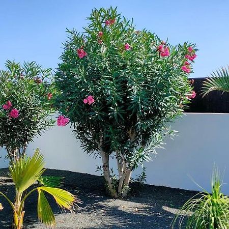 Villa Fedelian 2 Playa Blanca エクステリア 写真