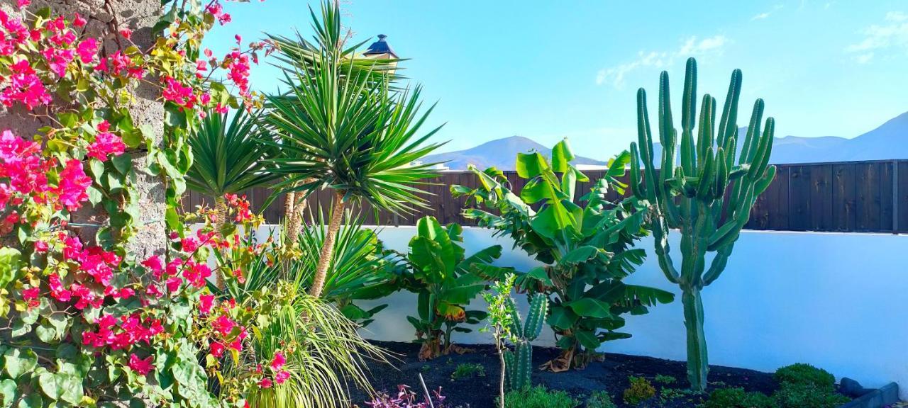 Villa Fedelian 2 Playa Blanca エクステリア 写真