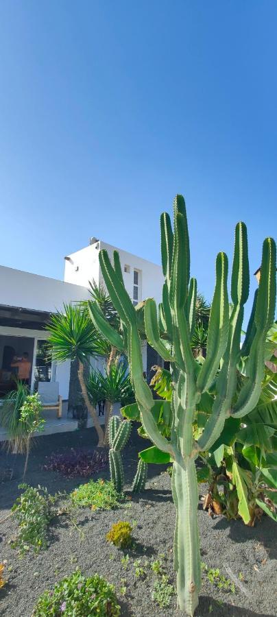 Villa Fedelian 2 Playa Blanca エクステリア 写真