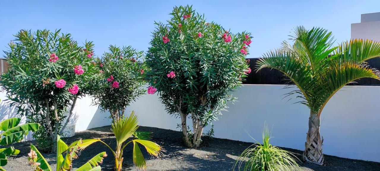 Villa Fedelian 2 Playa Blanca エクステリア 写真